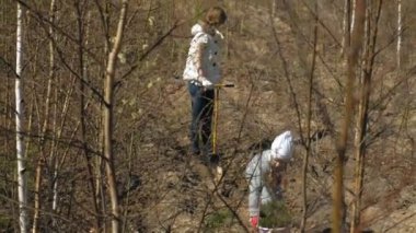 Ağaç fidanı dikmek. Orman restorasyonu, ekolojinin korunması.