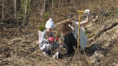 Ağaç fidanı dikmek. Orman restorasyonu, ekolojinin korunması.