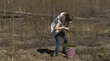 Ağaç fidanı dikmek. Orman restorasyonu, ekolojinin korunması.
