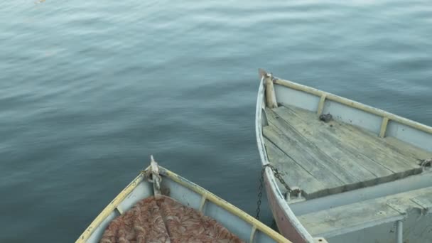 Paysage avec des bateaux sur la rivière — Video