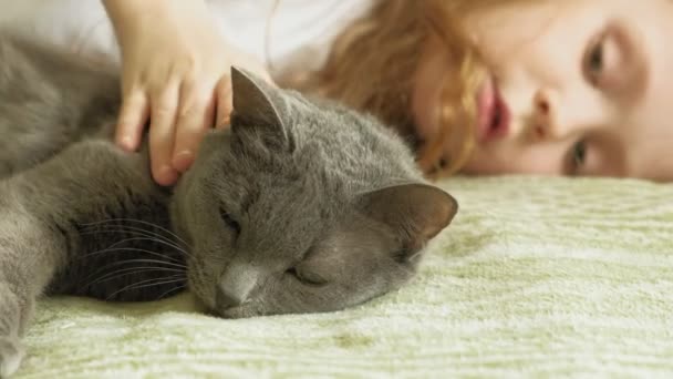 Niña con un gato gris — Vídeos de Stock