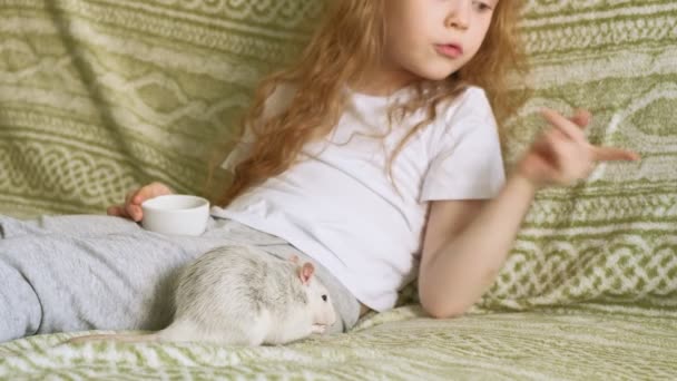 Baby meisje spelen met een rat — Stockvideo
