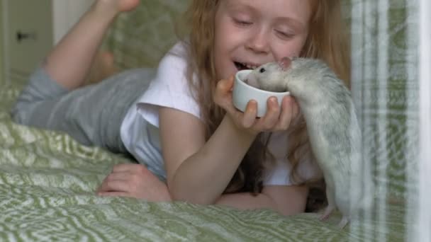 Baby meisje spelen met een rat — Stockvideo