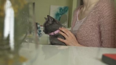 Dizüstü bilgisayar kullanarak kedi ile çekici kadın