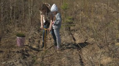 Ağaç fidanı dikmek. Orman restorasyonu, ekolojinin korunması.