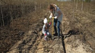 Ağaç fidanı dikmek. Orman restorasyonu, ekolojinin korunması.