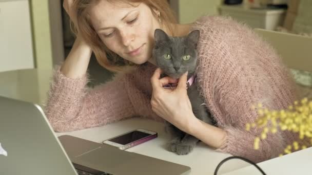 Mulher atraente com gatinho usando o laptop — Vídeo de Stock