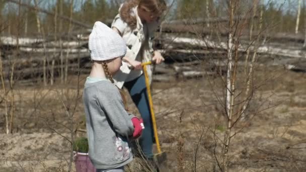 Plantando plantaciones de árboles. Restauración forestal, protección de la ecología . — Vídeos de Stock