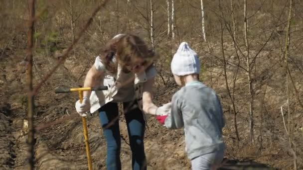 Plantando plantaciones de árboles. Restauración forestal, protección de la ecología . — Vídeos de Stock