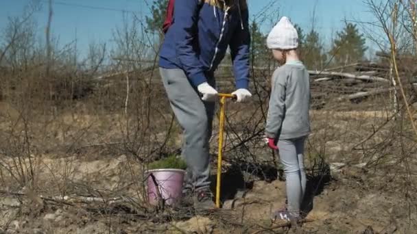 Aanplant boom boompjes. Bosrestauratie, bescherming van ecologie. — Stockvideo