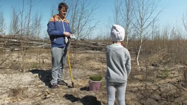 Plantering träd plantor. Skogs restaurering, skydd av ekologi. — Stockvideo