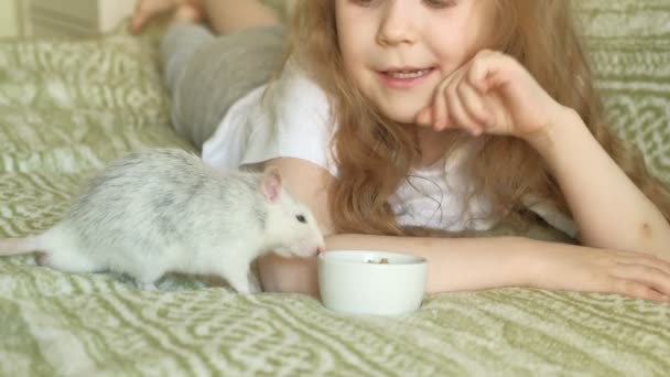 Bir sıçan ile oynayan bebek kız — Stok video