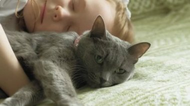 gri kedi ile küçük kız
