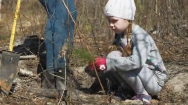 Ağaç fidanı dikmek. Orman restorasyonu, ekolojinin korunması.