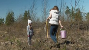 Ağaç fidanı dikmek. Orman restorasyonu, ekolojinin korunması.