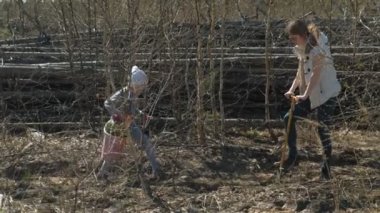 Ağaç fidanı dikmek. Orman restorasyonu, ekolojinin korunması.