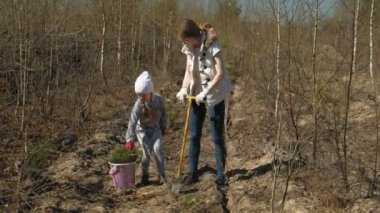 Ağaç fidanı dikmek. Orman restorasyonu, ekolojinin korunması.