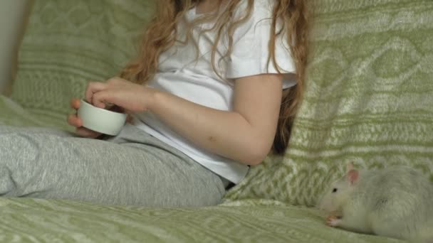 Baby meisje spelen met een rat — Stockvideo