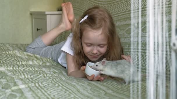 Маленька дівчинка грає з пацюком — стокове відео