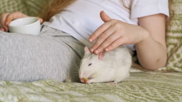 Baby meisje spelen met een rat — Stockvideo