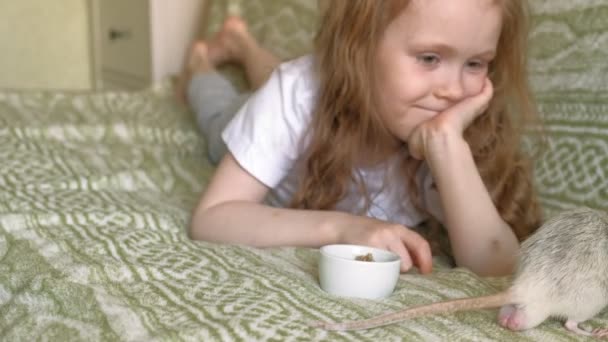 Niña jugando con una rata — Vídeo de stock