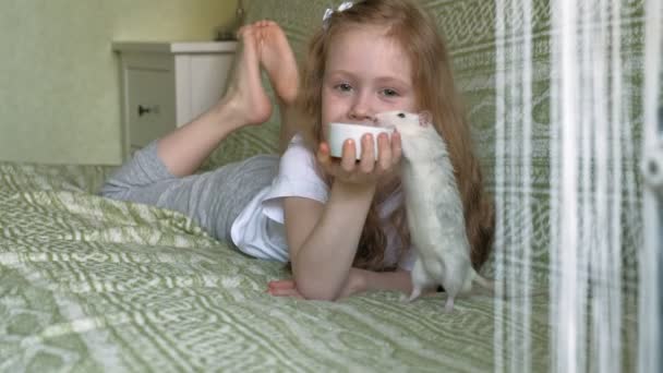 Baby girl playing with a rat — Stock Video