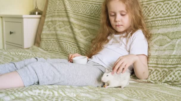Bir sıçan ile oynayan bebek kız — Stok video