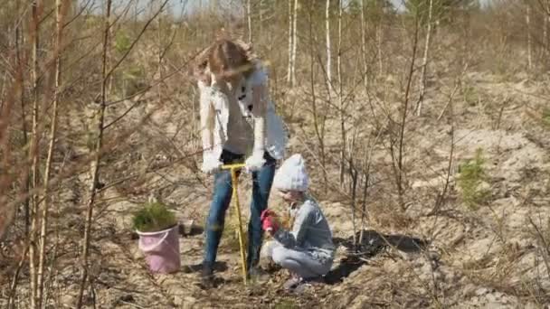 Plantando plantaciones de árboles. Restauración forestal, protección de la ecología . — Vídeos de Stock