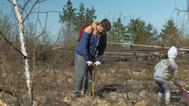 Plantando plantaciones de árboles. Restauración forestal, protección de la ecología . — Vídeos de Stock