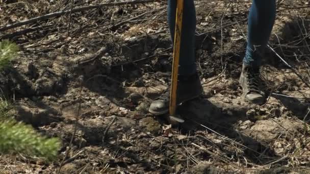 Plantando plantaciones de árboles. Restauración forestal, protección de la ecología . — Vídeo de stock