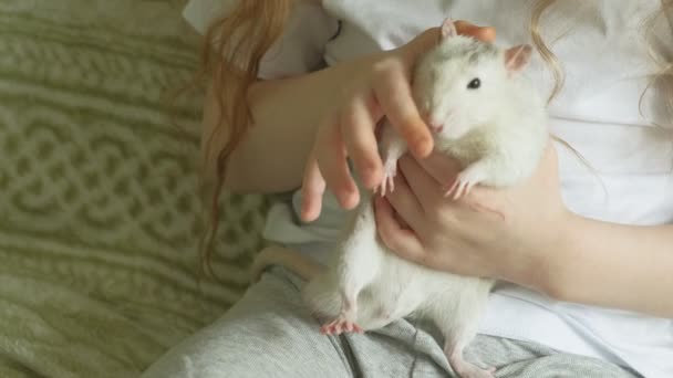 Baby girl playing with a rat — Stock Video