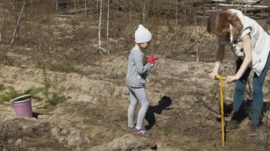 Ağaç fidanı dikmek. Orman restorasyonu, ekolojinin korunması.