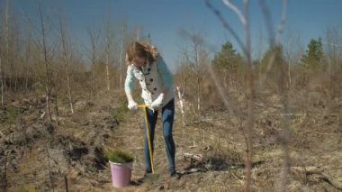 Ağaç fidanı dikmek. Orman restorasyonu, ekolojinin korunması.