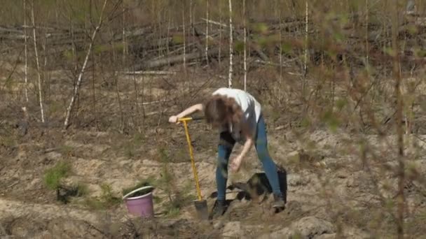 Plantando plantaciones de árboles. Restauración forestal, protección de la ecología . — Vídeos de Stock