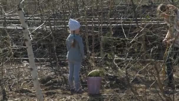 Plantering träd plantor. Skogs restaurering, skydd av ekologi. — Stockvideo