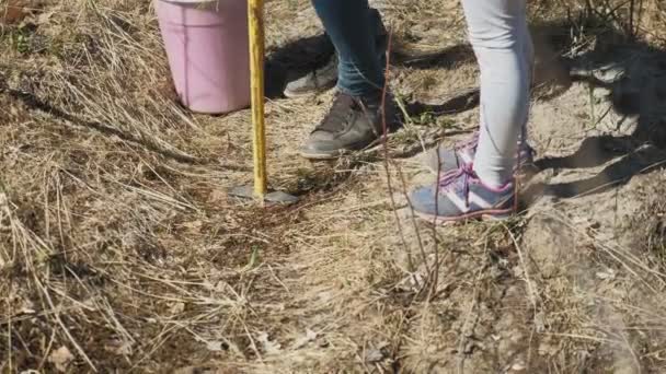 Plantando plantaciones de árboles. Restauración forestal, protección de la ecología . — Vídeos de Stock