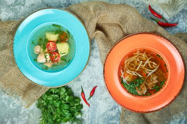Farklı çorbalar ile çok renkli tabaklar. Gri ışık dokulu arka plan. Güzel servis yemekleri. Restoran menüsü