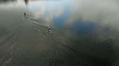 Nehirdeki mavi kanodaki atletler. Sağlıklı yaşam tarzı. Aktif spor. Drone ile hava çekimi.