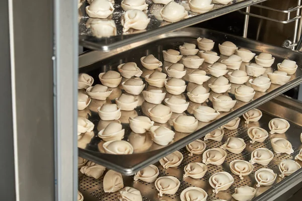 Endüstriyel dondurucu. Profesyonel mutfak ekipmanları. Şok dondurma. 