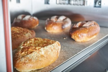 Set gıda ile catering için endüstriyel elektrikli fırın