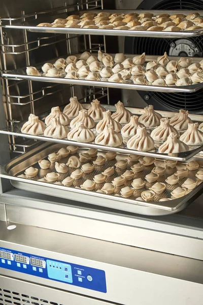 Endüstriyel dondurucu. Profesyonel mutfak ekipmanları. Şok dondurma. 