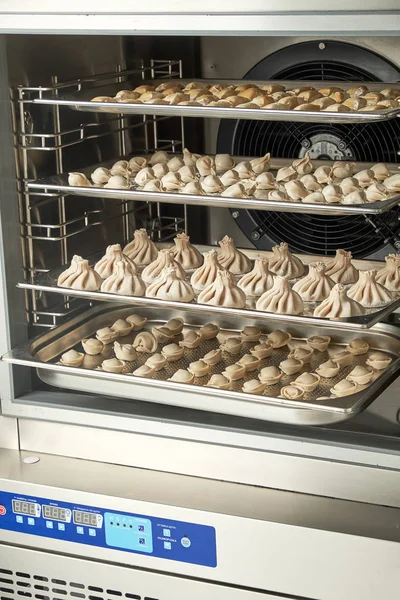 Endüstriyel dondurucu. Profesyonel mutfak ekipmanları. Şok dondurma. 