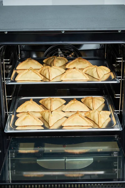 Catering için endüstriyel konveksiyon fırın. Profesyonel mutfak ekipmanları