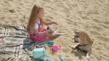 Kız dondurma yiyor ve açık havada köpek besler.