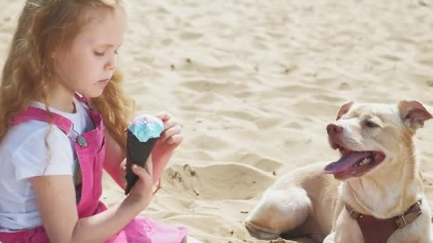 Girl eats ice cream and feeds the dog outdoors. — Stock Video