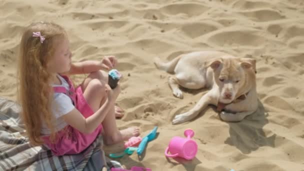 Mädchen isst Eis und füttert Hund im Freien. — Stockvideo