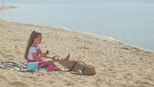 Chica come helado y alimenta al perro al aire libre . — Vídeos de Stock