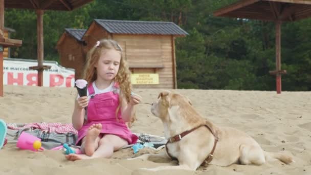 Dívka jí zmrzlinu a krmí psa venku. — Stock video
