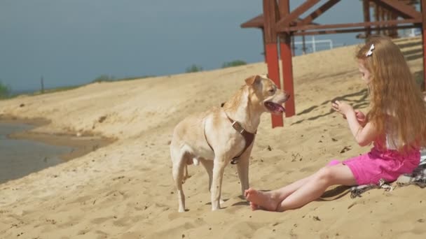 Meisje eet ijs en voedt de hond buitenshuis. — Stockvideo