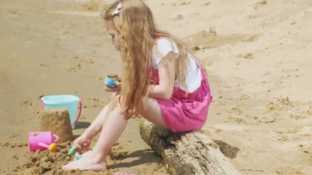 Güneşli bir günde nehir kıyısında ki sahilde oynayan çocuklar — Stok video
